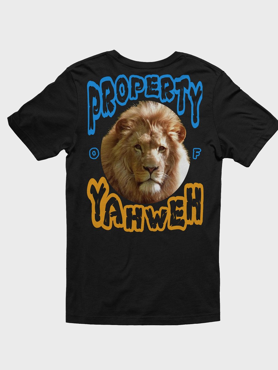 Child of God T-Shirt product image (16)