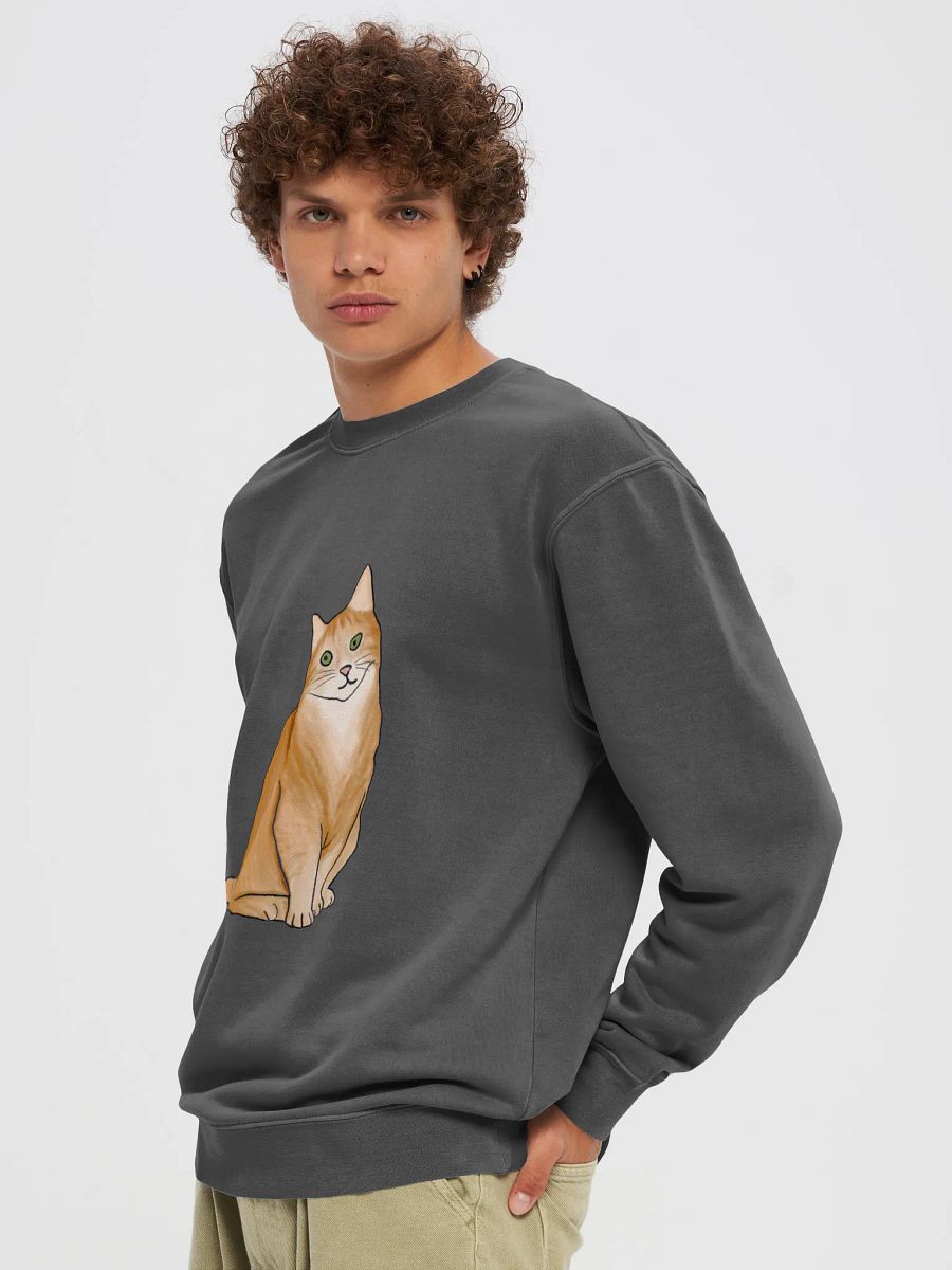 Orange Cat Unisex Midweight Pigment Dyed Sweatshirt product image (5)
