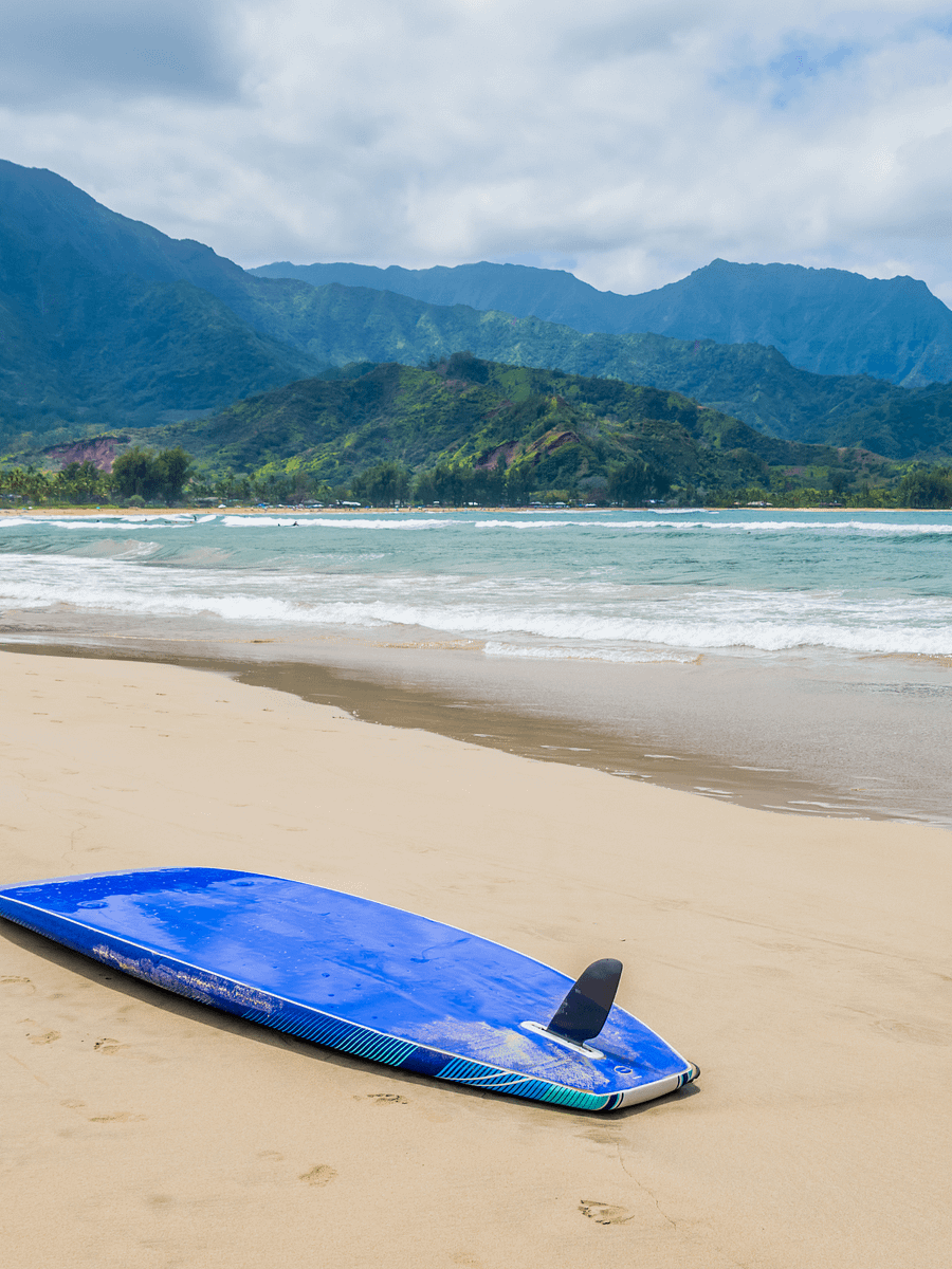 Hanalei Bay Kauai, Hawaii - Camouflage Trucker Hat product image (23)