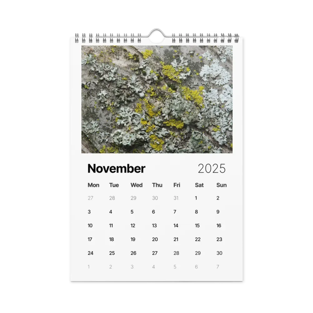 Likin' Lichen 2025 Wall Calendar product image (12)