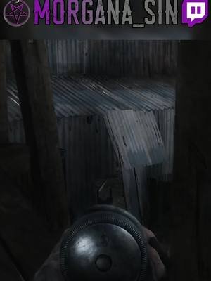 Oh, please, let me do it again! | #Morgana_Sin | #Twitch #GirlGamers #TwitchStreaming #Gaming #TwitchStreamer #VarietyStreamer #HuntShowdown #HuntShowdown1896 #Crytek #HorrorGames