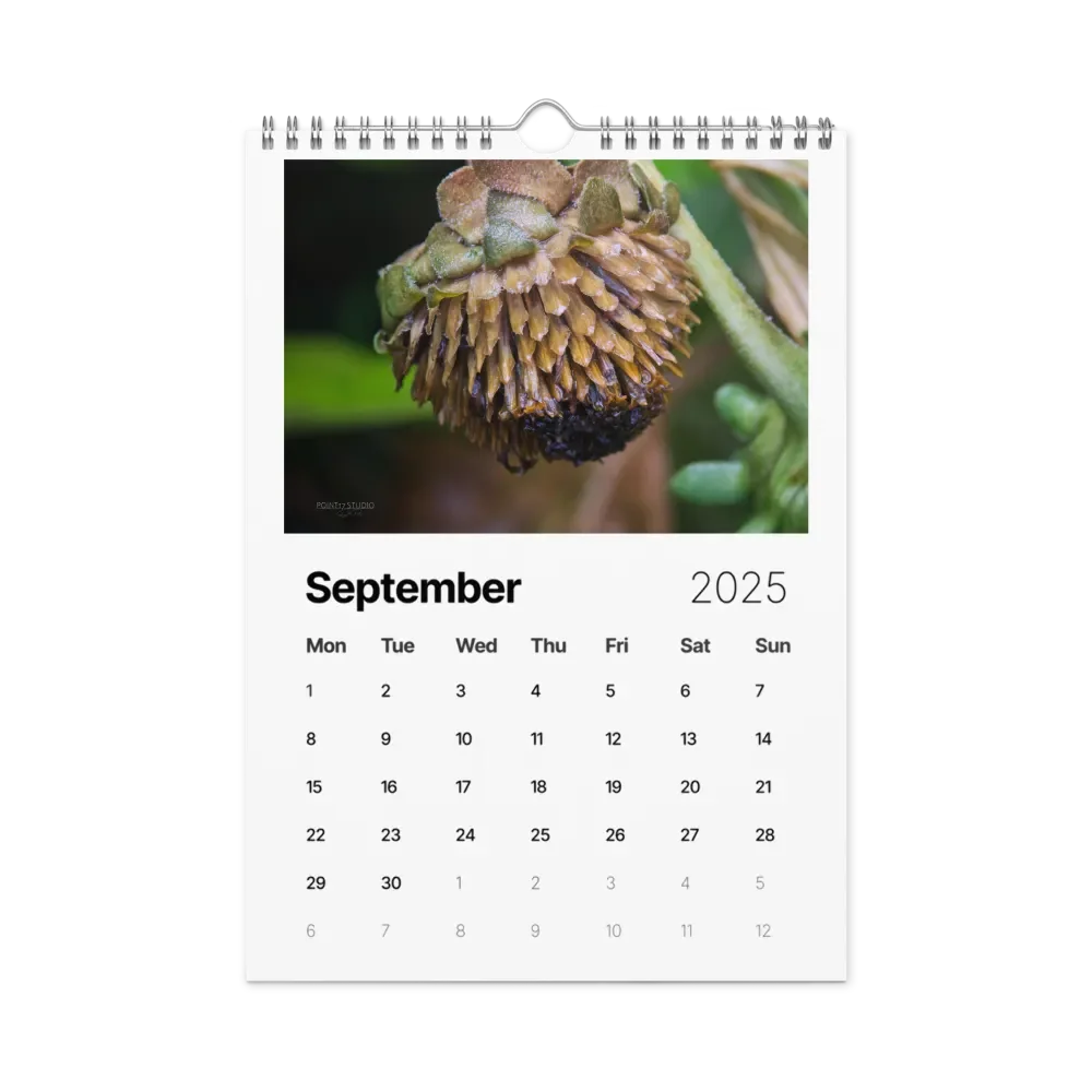 Pure Colors 2025 Wall Calendar product image (10)