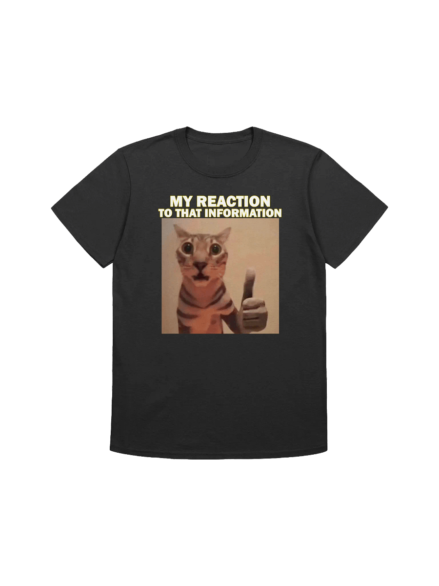 MY HONEST REACTION TO THAT INFO T-SHIRT product image (3)