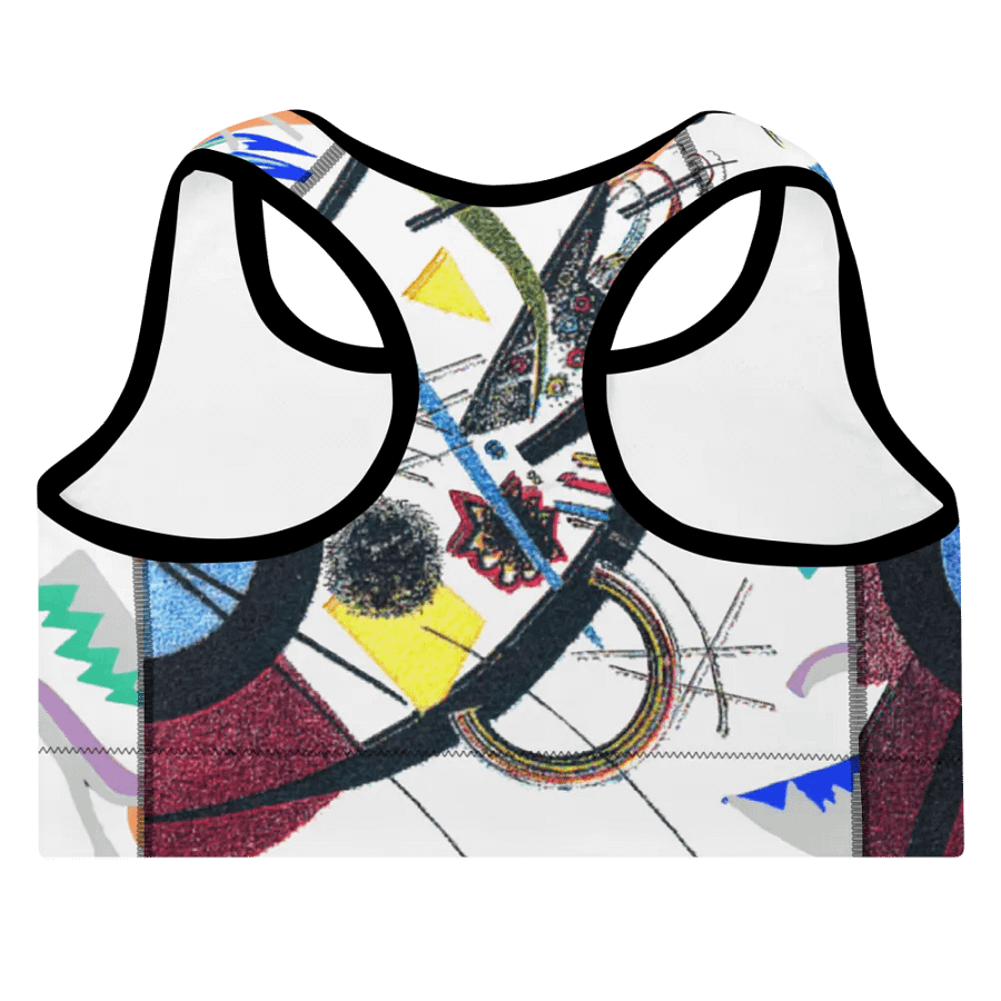 Abstract Lithographic Pattern Design Padded Sports Bra - V1 product image (8)
