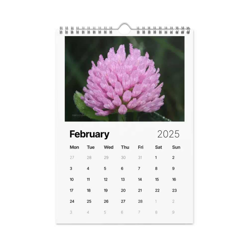 Pure Colors 2025 Wall Calendar product image (3)