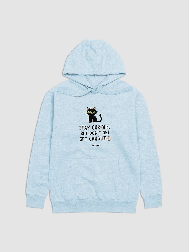 Curious Cat Premium Hoodie product image (2)