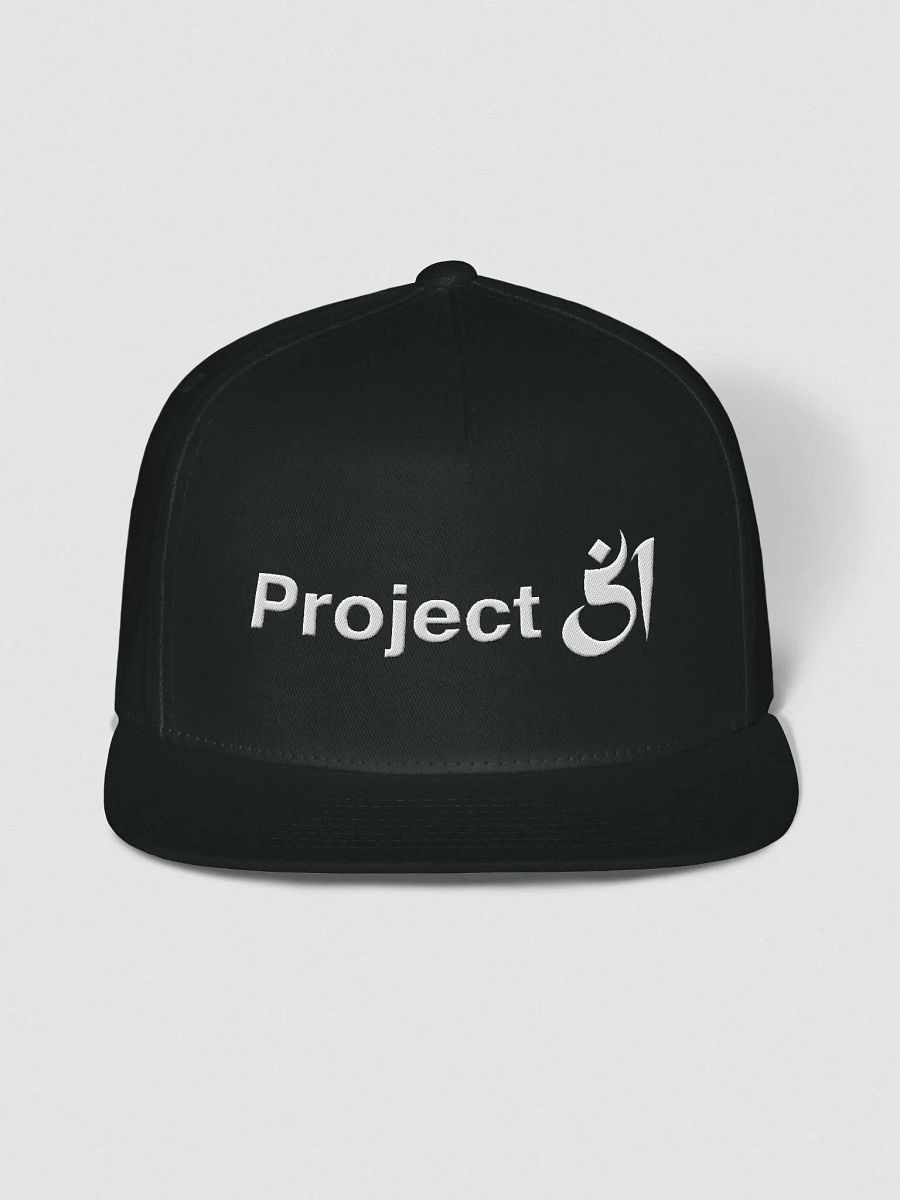Project 51 snapback product image (1)