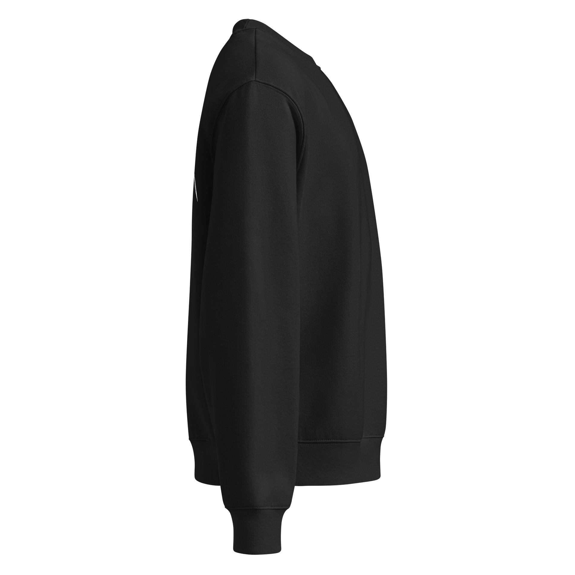 Legion Oversized Sweatshirt (Black) product image (4)