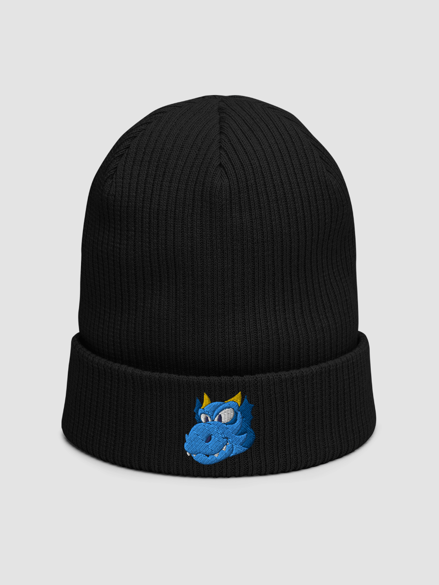 Happy Blue Dragon Beechfield Ribbed Beanie product image (1)