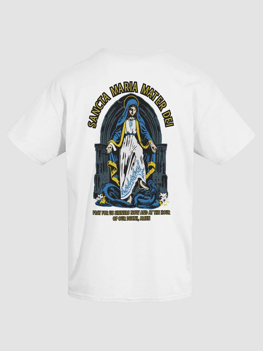 Most Holy Mary Theotokos Ora Pro Nobis product image (3)