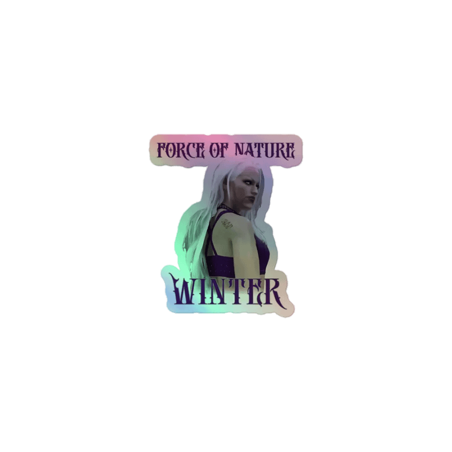 BTW Winter holographic stickers product image (1)