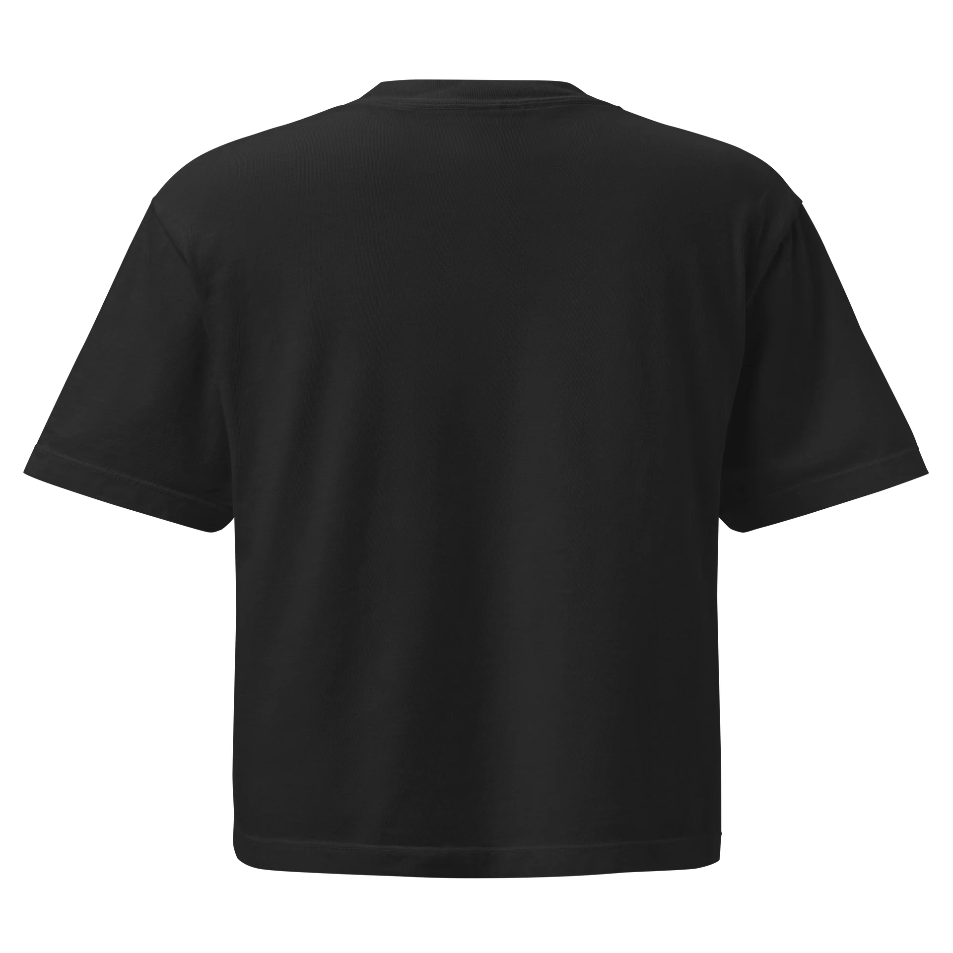 Cat Lady Tee (Women’s Boxy Fit – Heavyweight Cotton) product image (2)