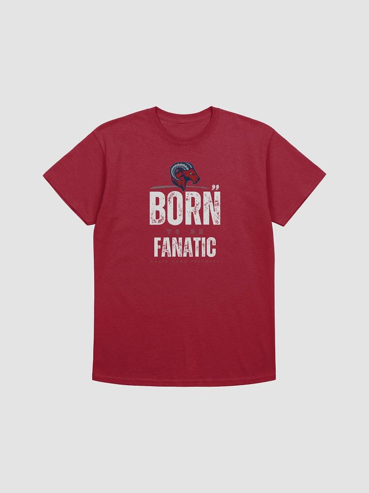 Rochester Ragin Rams T-Shirt by Gildan 