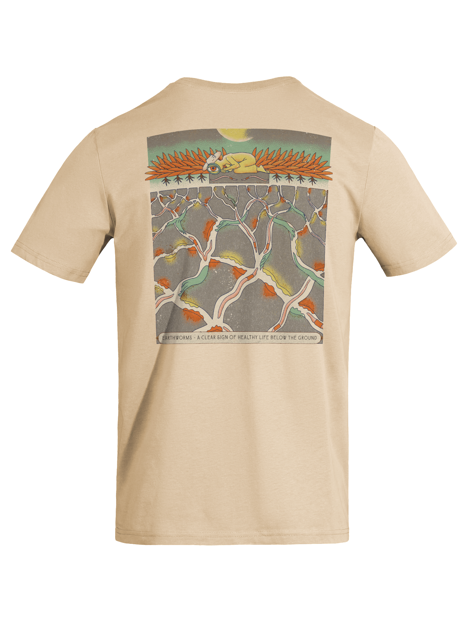 Searching for worms (light colours) product image (49)