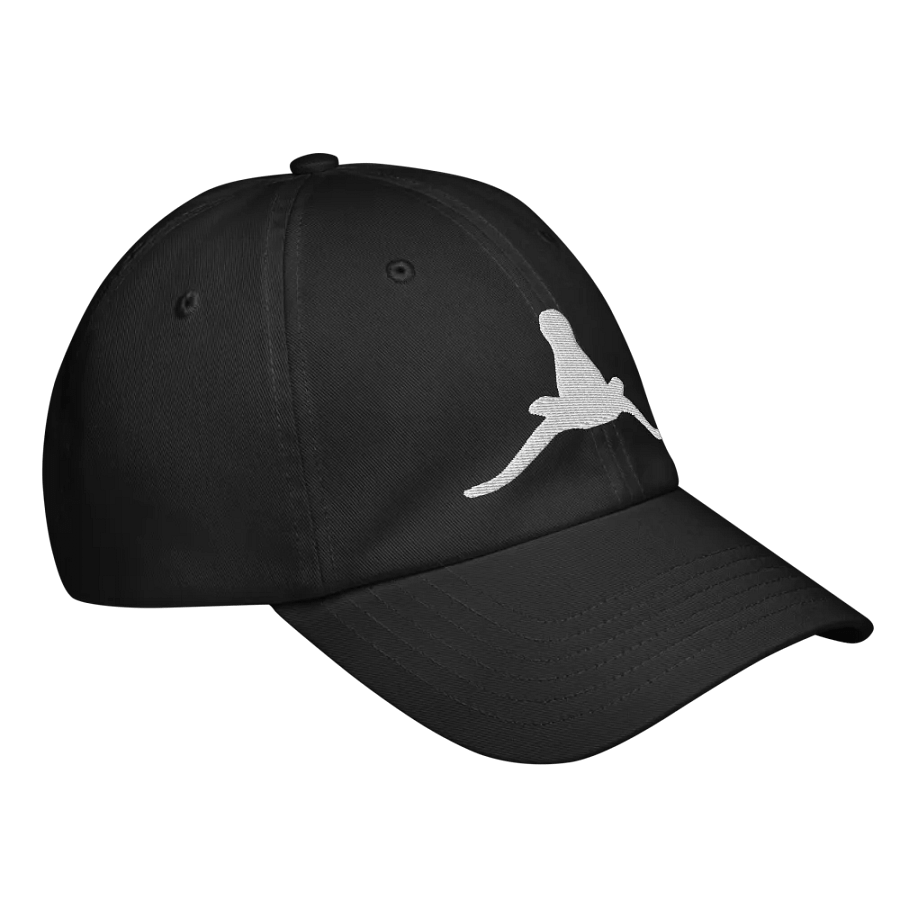 HOF HORNS DOWN Under Armour Cap (White Stitch) product image (12)