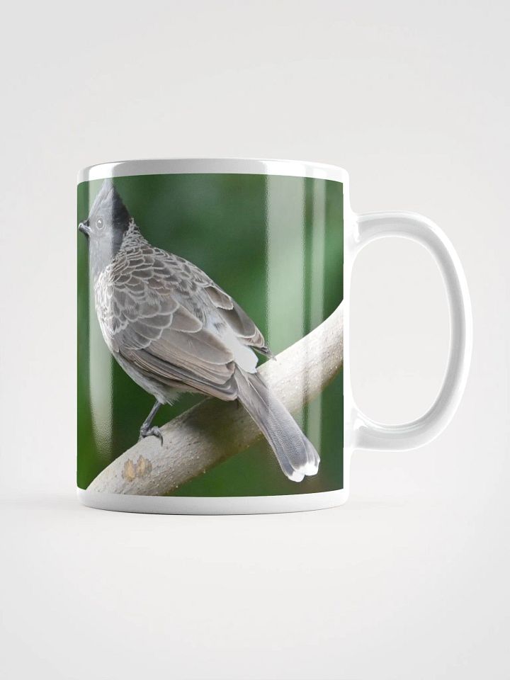 IUCAA Birds MUG product image (1)