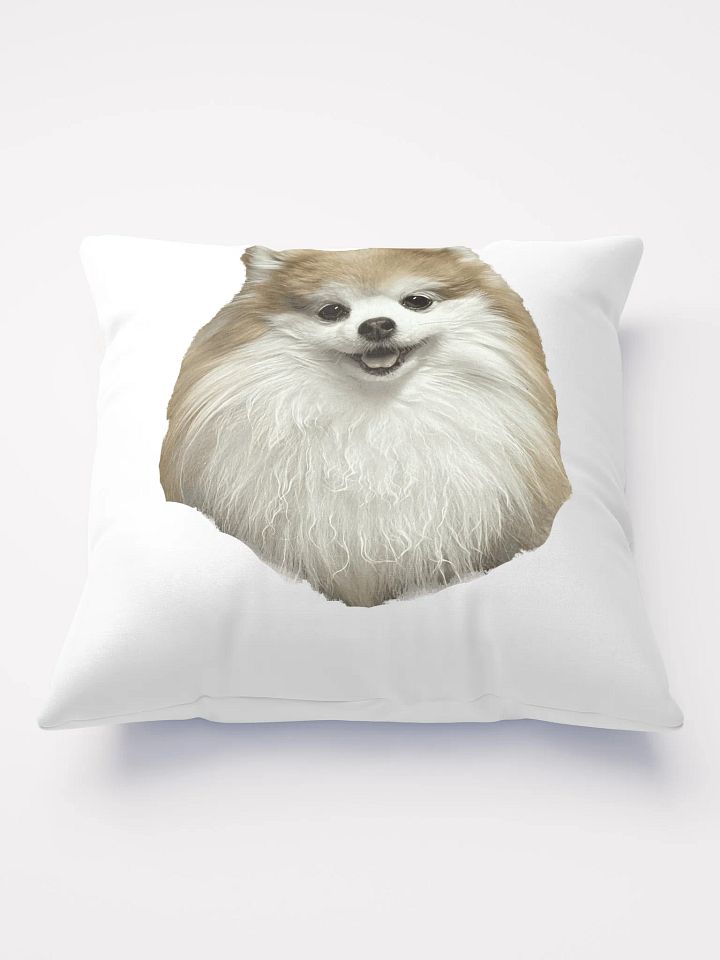 Kami Pillow product image (1)