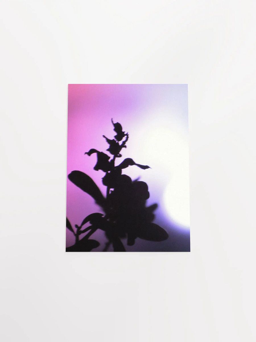 Pink Plant Glow product image (47)