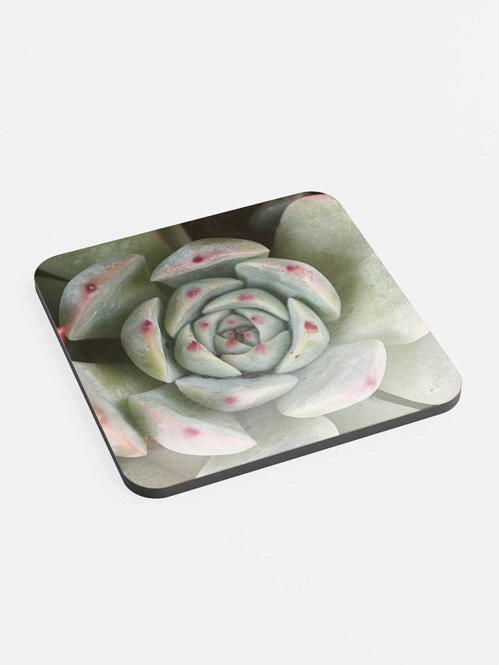 Red Tipped Succulent Single Coaster product image (2)