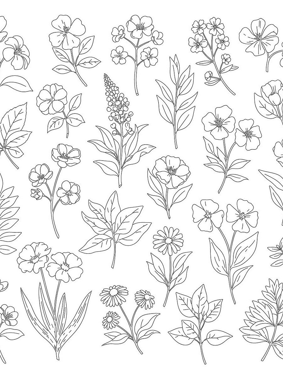 Botanical SVG Bundle: Hand-Drawn Floral Clipart & Leaf Doodles product image (8)