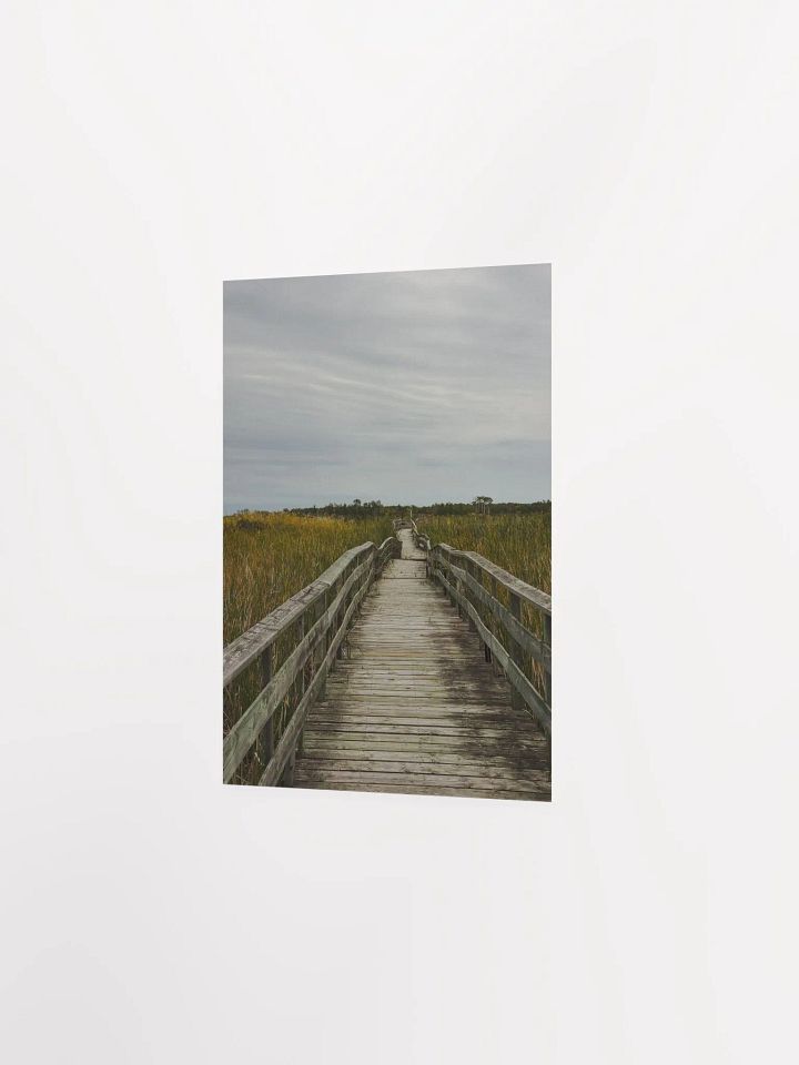 Path (Premium Matte Poster) product image (12)