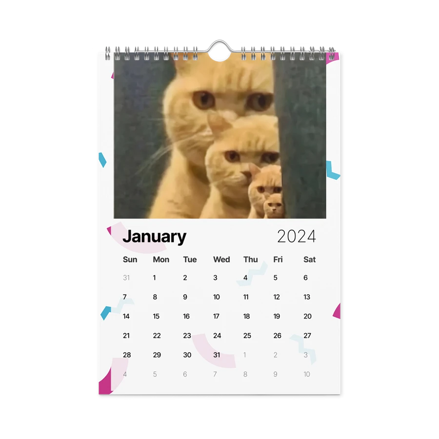 Wall Calendar (2024): Meme Cats product image (8)