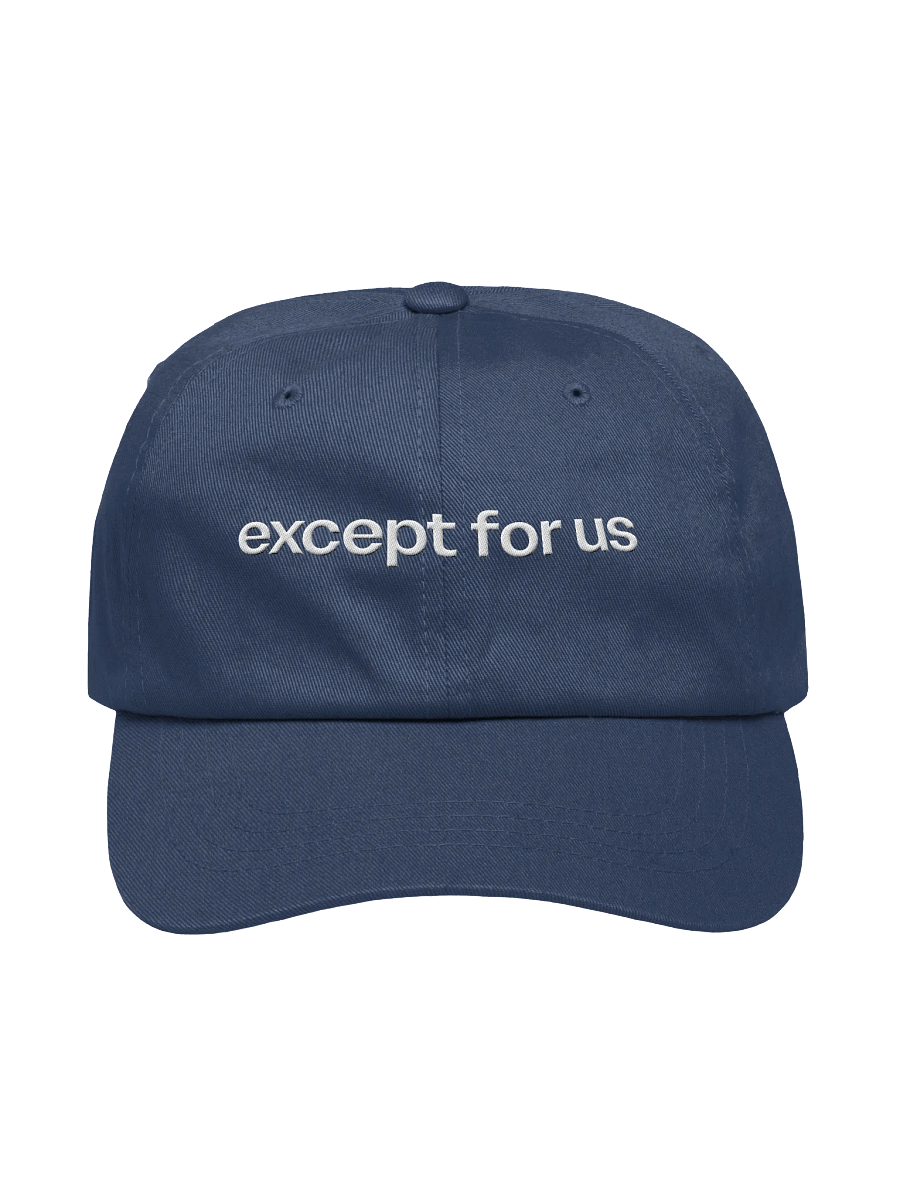 Except For Us Hat product image (1)