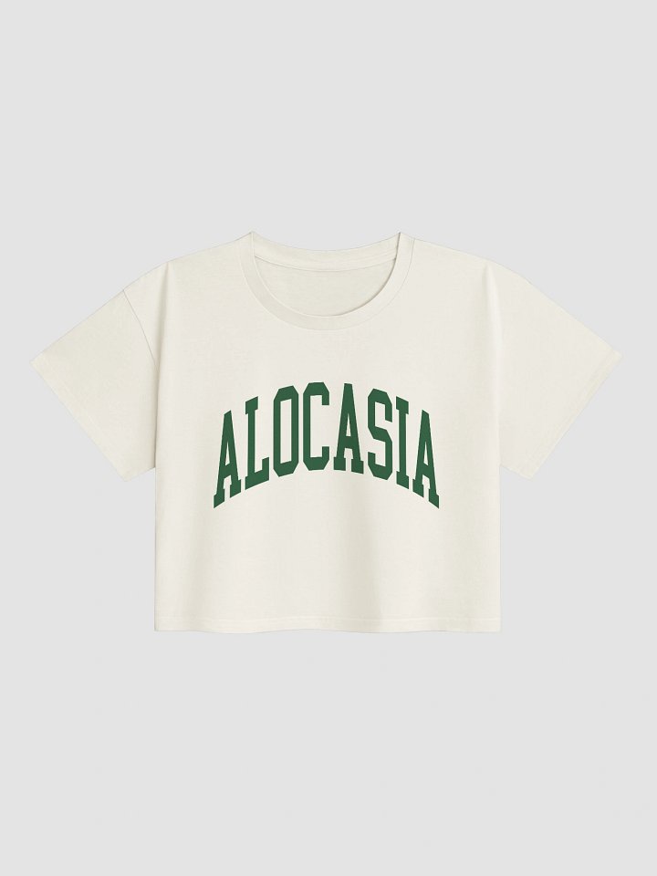 ALOCASIA VARSITY - Crop Top product image (1)