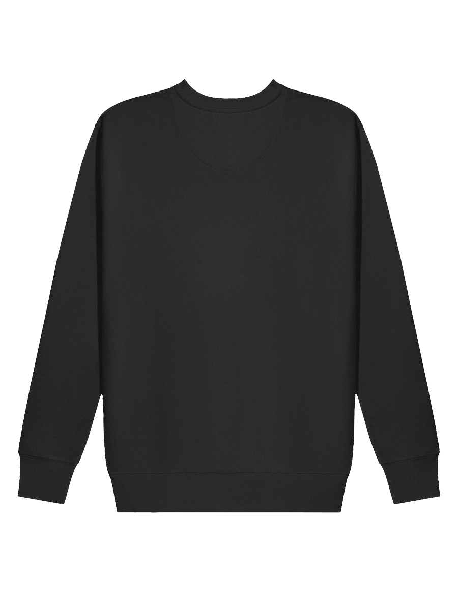 SALONE GUY Premium Sweatshirt product image (28)