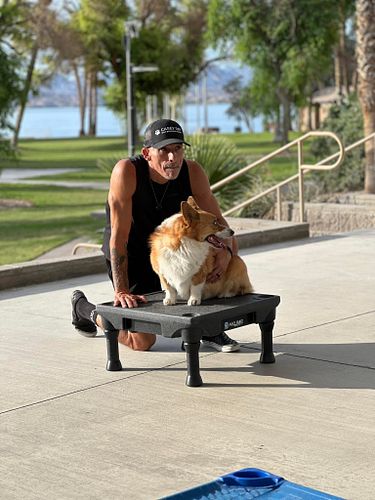 Got to team up with this awesome guy this morning to film content for my DIY online course. 

Sam the Corgi is one cool dude!...