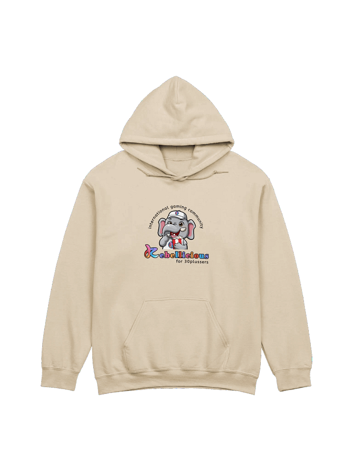 Gildan Classic Hoodie product image (1)