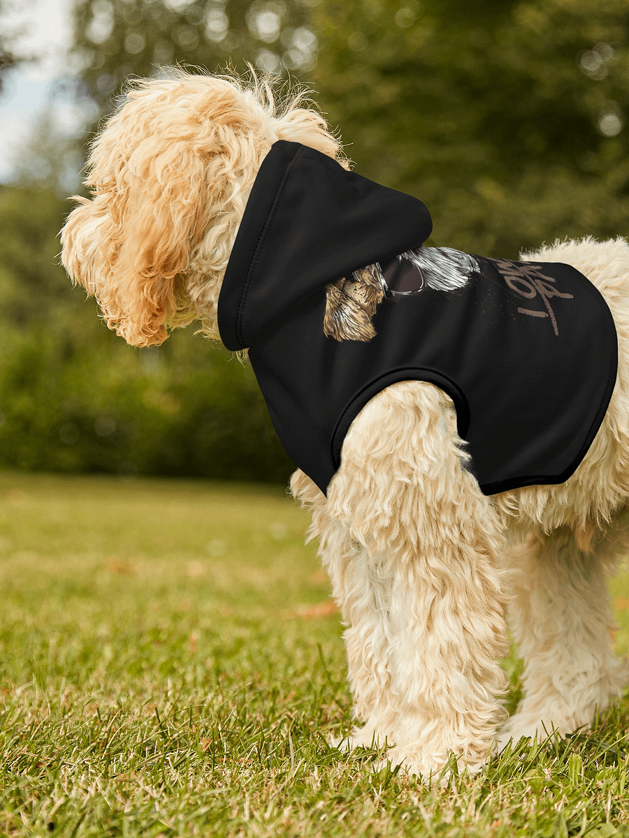 PAPASITOS PAWS OWN PARTY HOODIE product image (3)