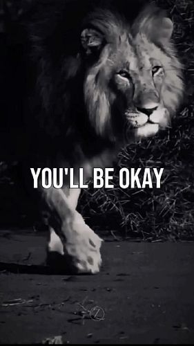 Hold on. You’re gonna be okay…

#motivation #motivational #quotes #motivationalquotes #uk #foryou #successmindset #mindsetmat...