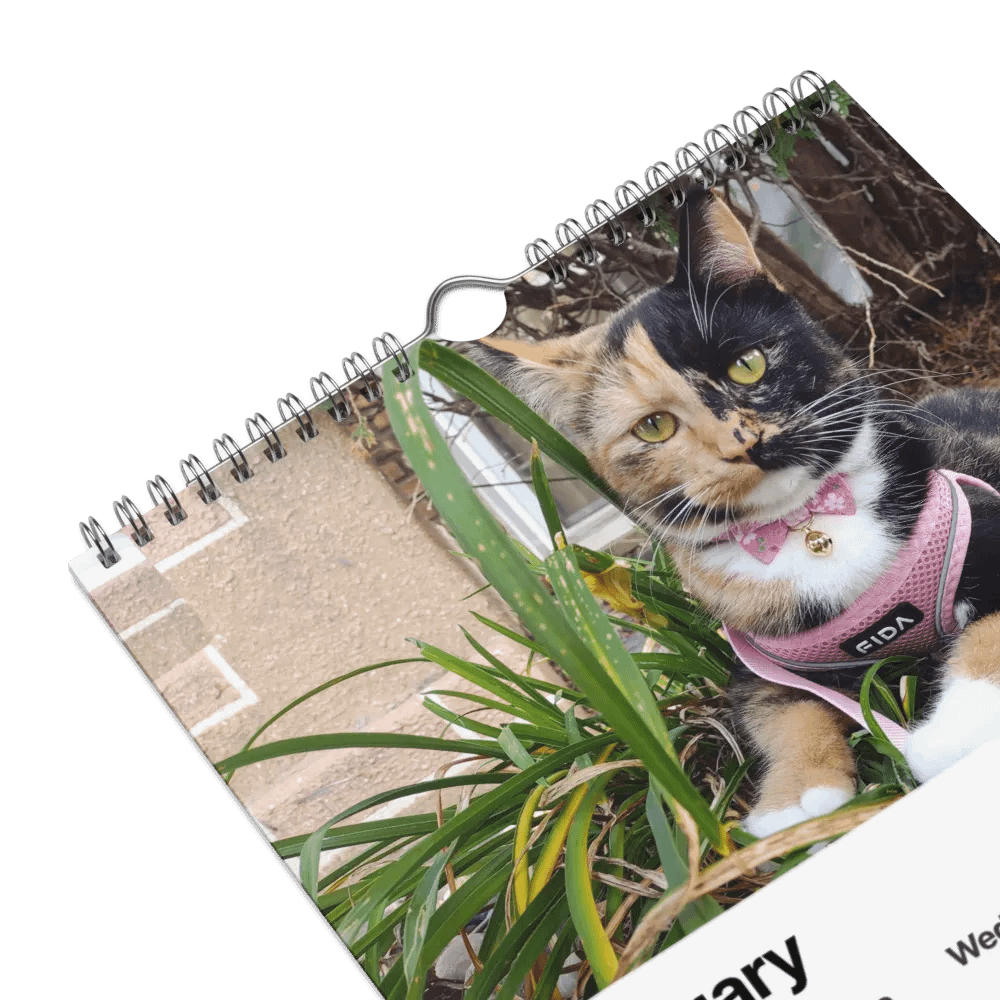 2024 Lyra Calendar product image (16)