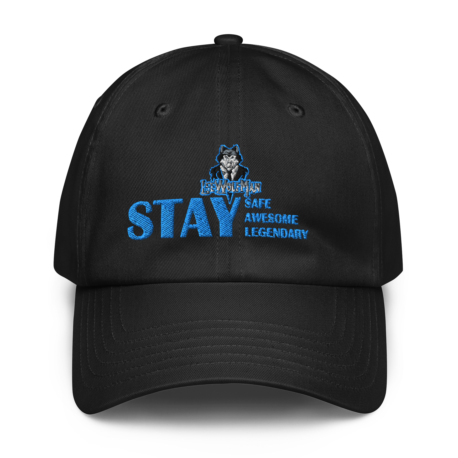 LWM UA Stay Hat product image (1)