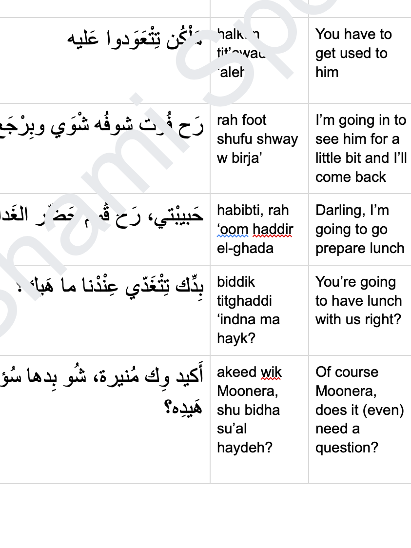 Learn Arabic With TV Shows (Ya Rayt Episode 2 Part 2) product image (3)