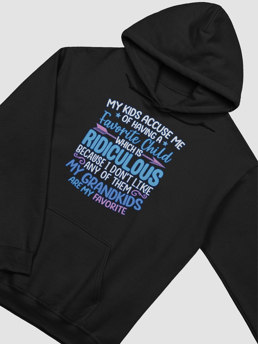 My Kids Accuse Me of Having a Favorite Child – Comfy Funny Hoodie for Cool Grandparents product image (2)