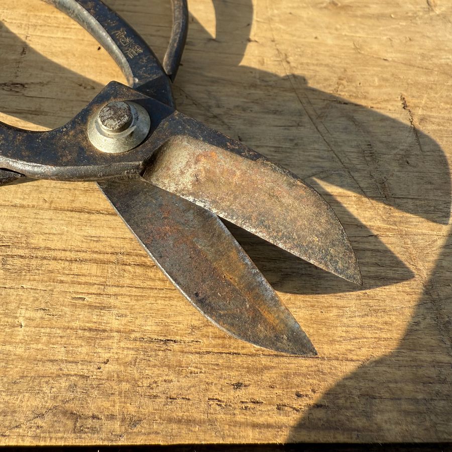 🎎 Antique Japanese garden shears - Japan Antique Roadshow Description: product image (4)