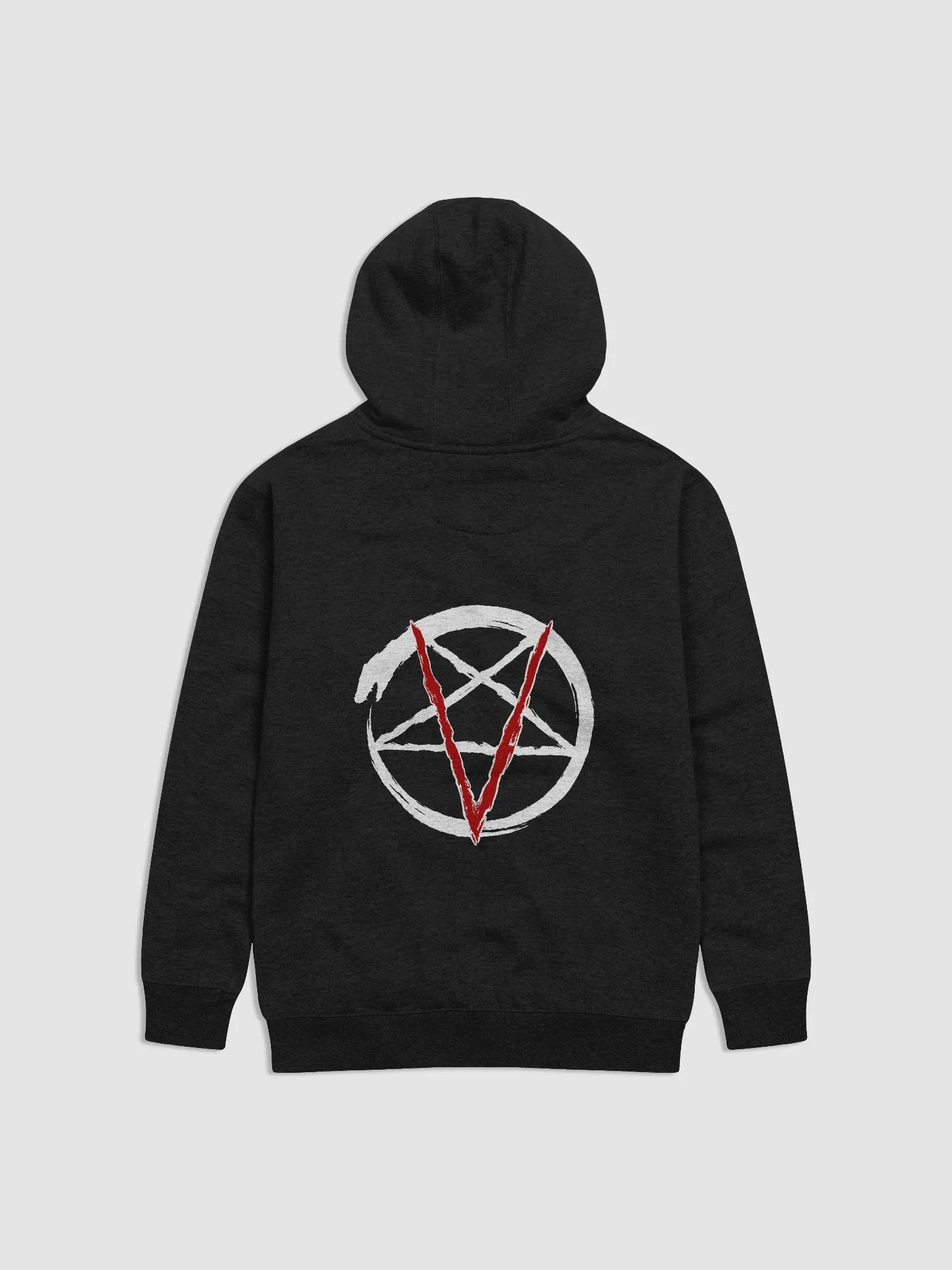 Ventagram 2025 Hoodie product image (4)