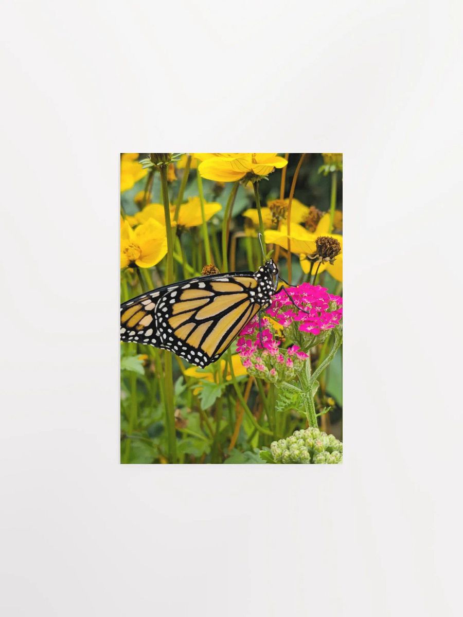 Tropical Monarch Butterfly Matte Poster 5x7" product image (1)