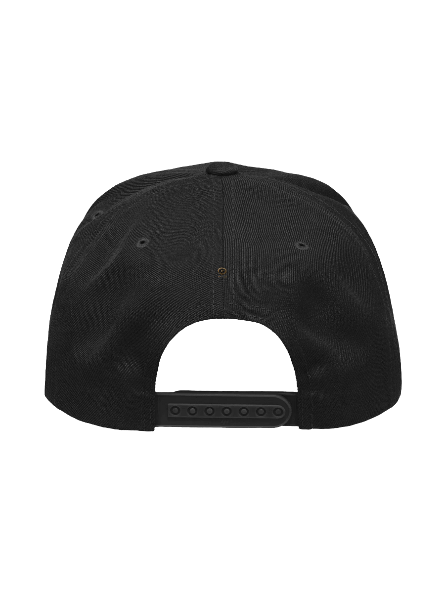 PK LOGOReady Wool Blend Snapback Cap product image (56)