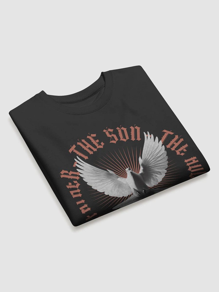 Symmetrical Dove Flight Premium Sweatshirt product image (2)