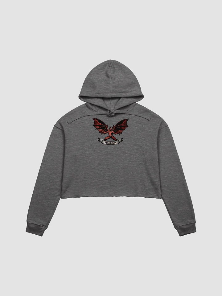 ReVamp Logo CropTop Hoodie product image (3)