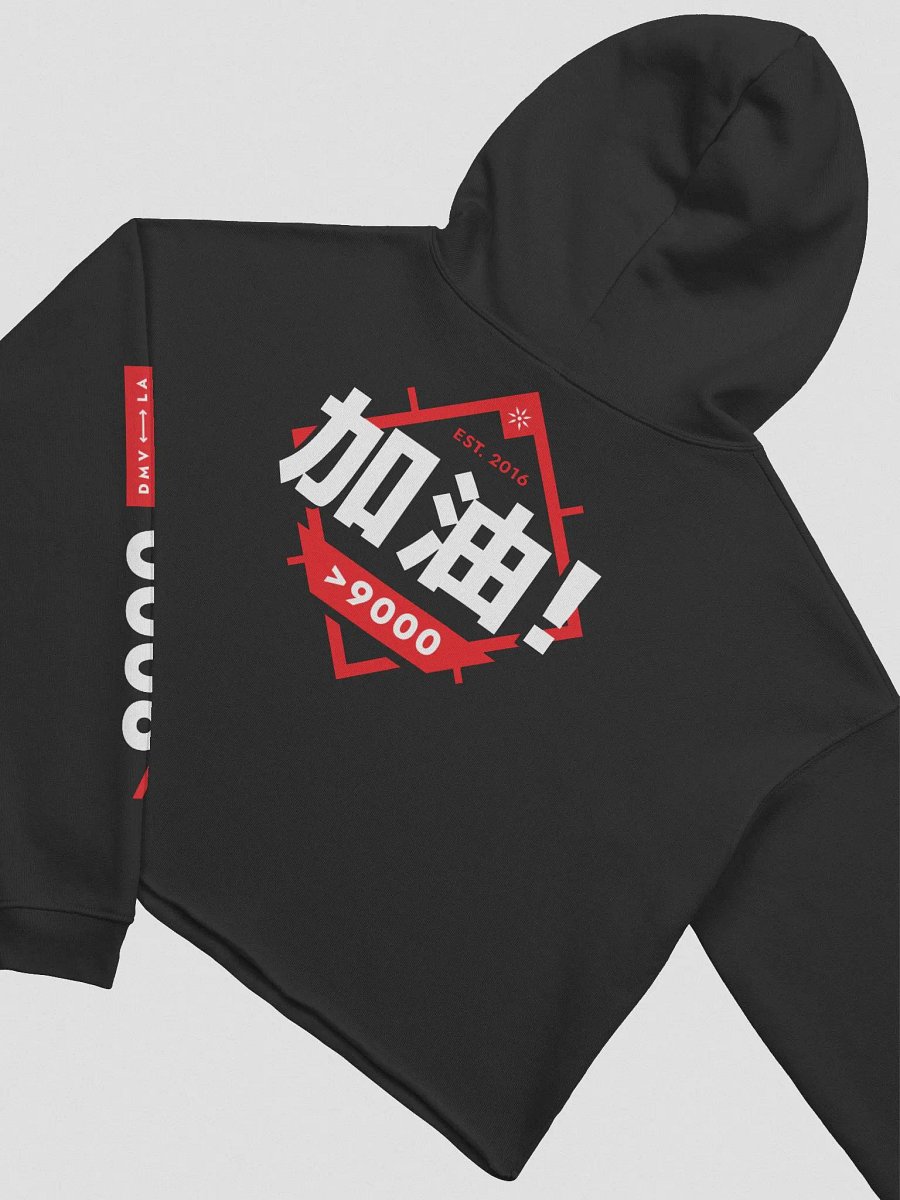 TRP Jiāyóu Cropped Hoodie product image (4)