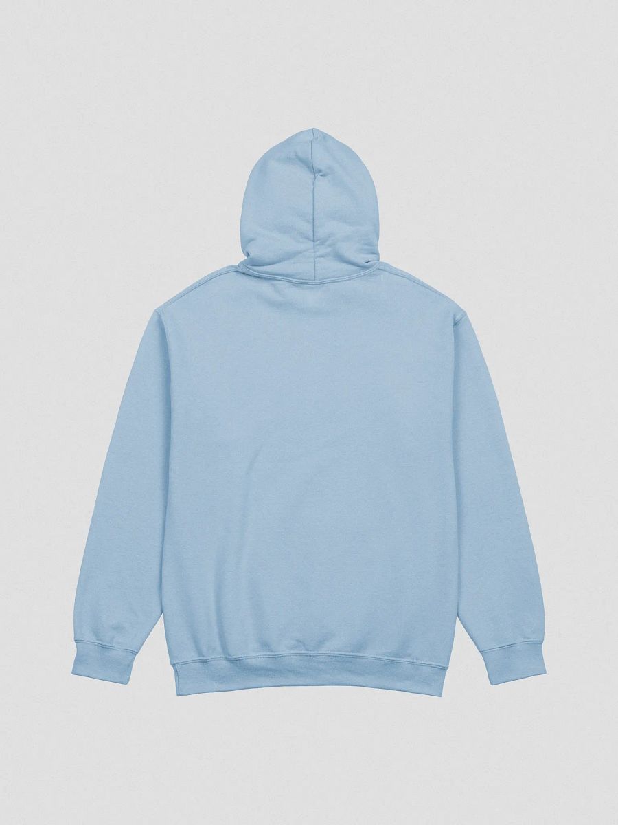 Framed Felicity Hoodie product image (5)
