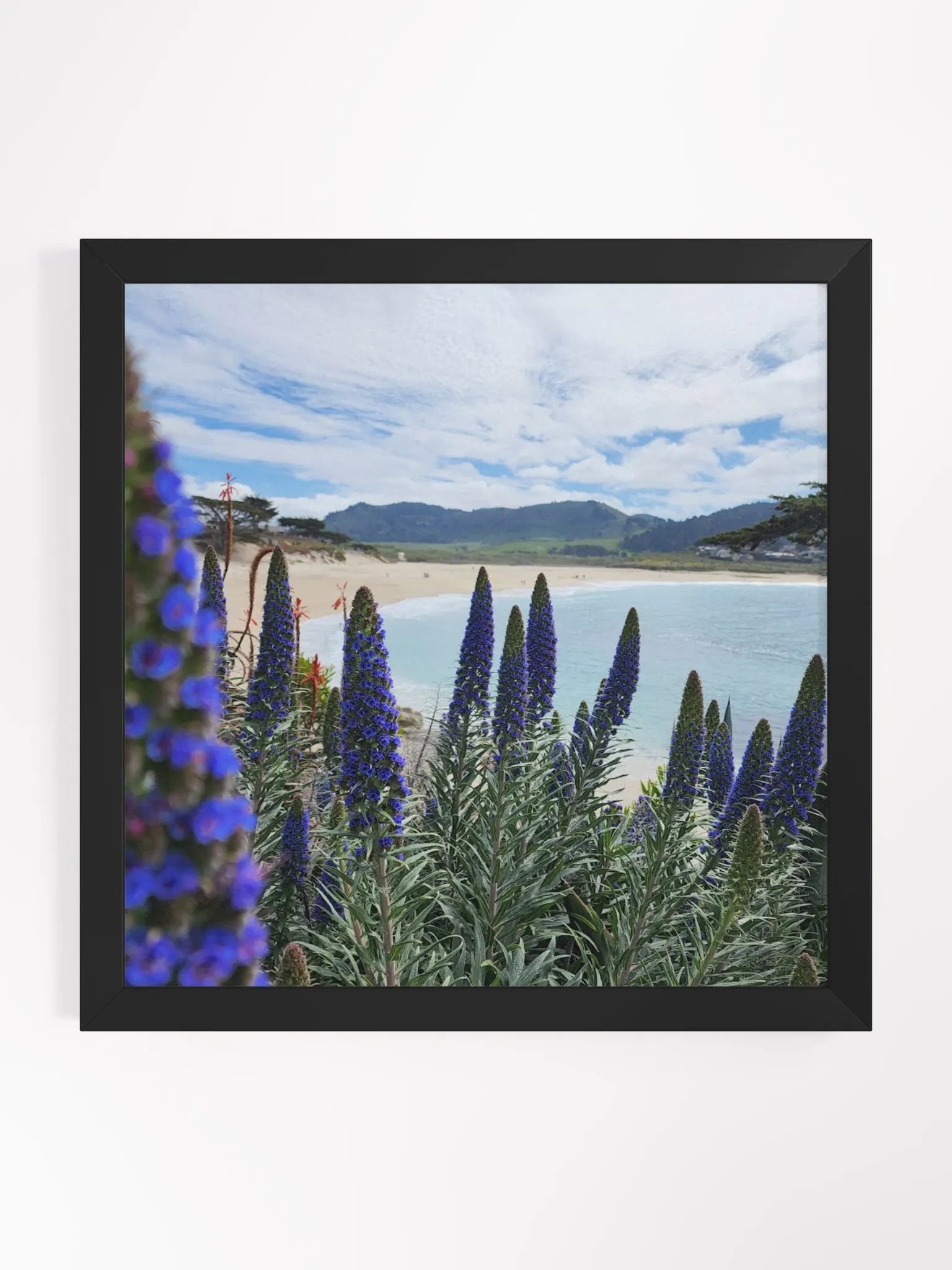Rugged elegance of the flower product image (3)