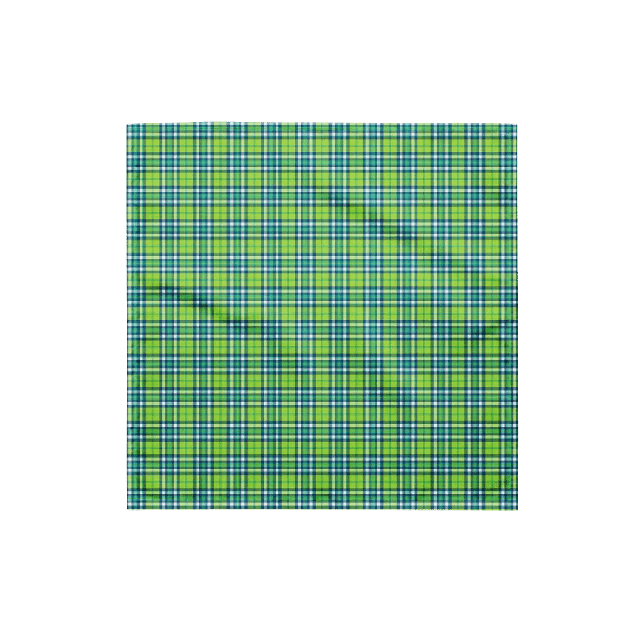 Lime Green and Turquoise Plaid Bandana product image (4)