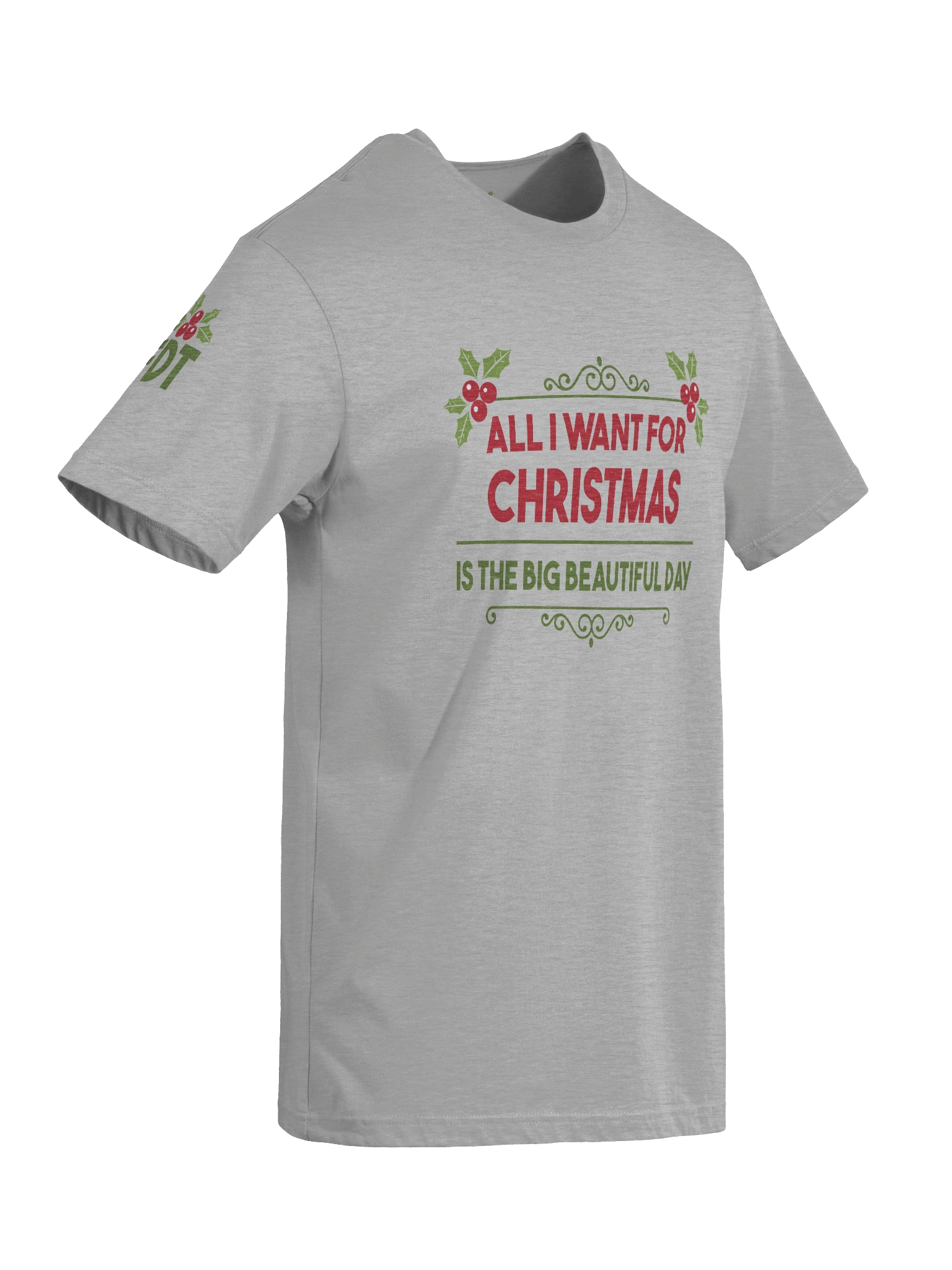 All I Want for Christmas Is... Tee | Brand Next Level product image (9)