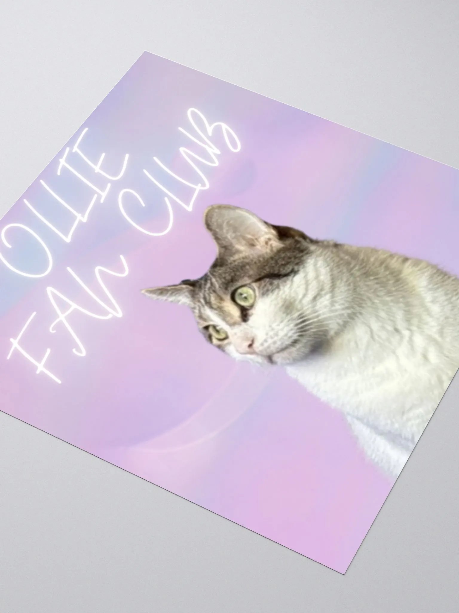 "OLLIE FAN CLUB" Sticker product image (5)