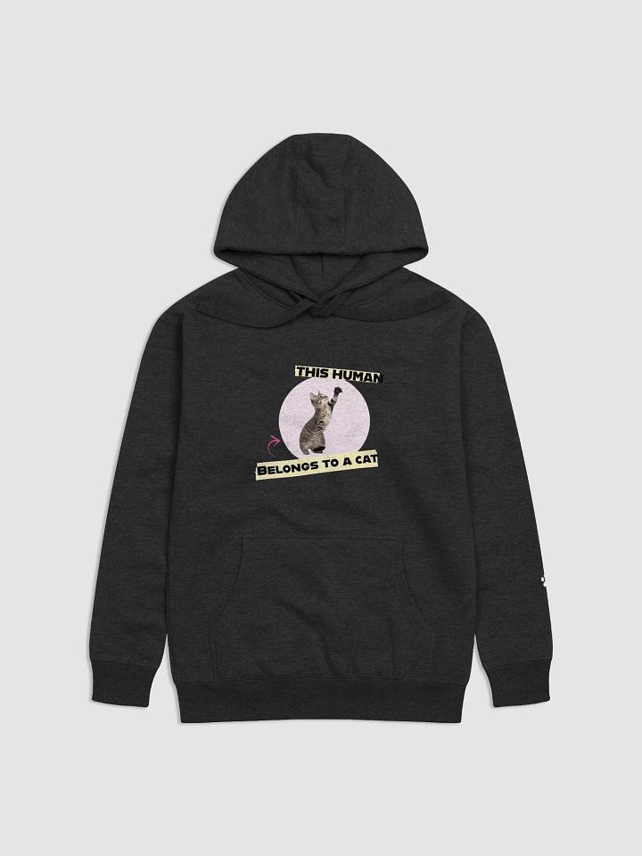 Playful Kitten Hoodie product image (9)